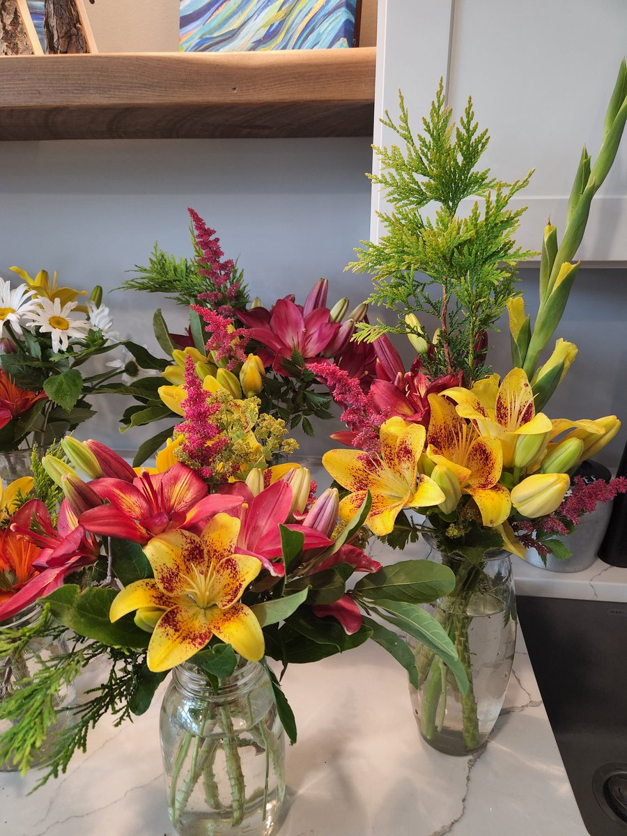 Kensey Schultz tweet media