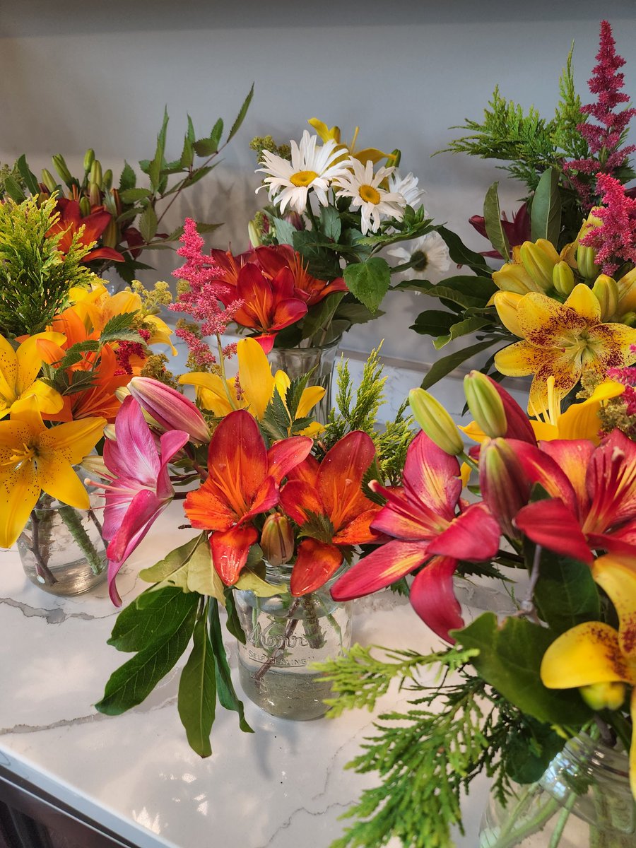 Kensey Schultz tweet media