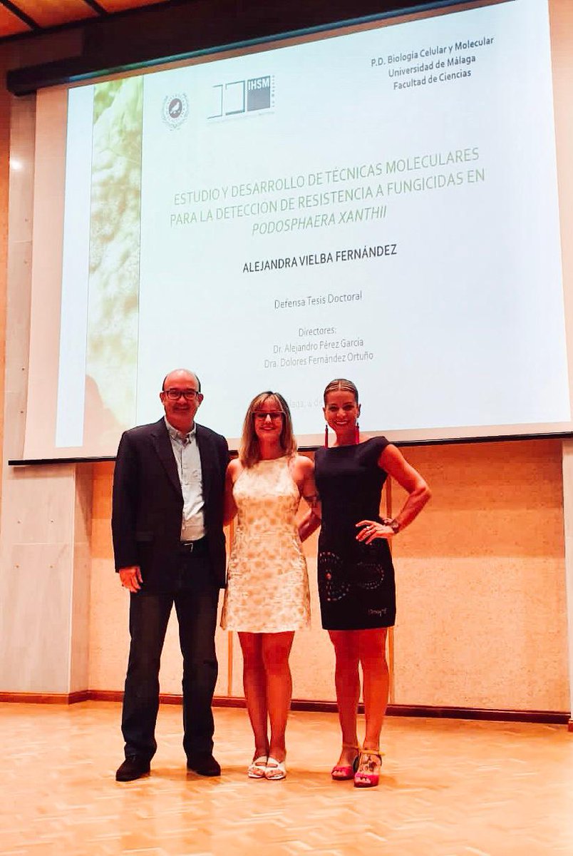 FitoresSef's tweet photo. ¡¡Nuestra compañera @avielba_fdez ya es doctora!! Enhorabuena a ella y a sus directores de tesis Dolores Fernández Ortuño y Alejandro Pérez García https://t.co/V54HXMtr8f