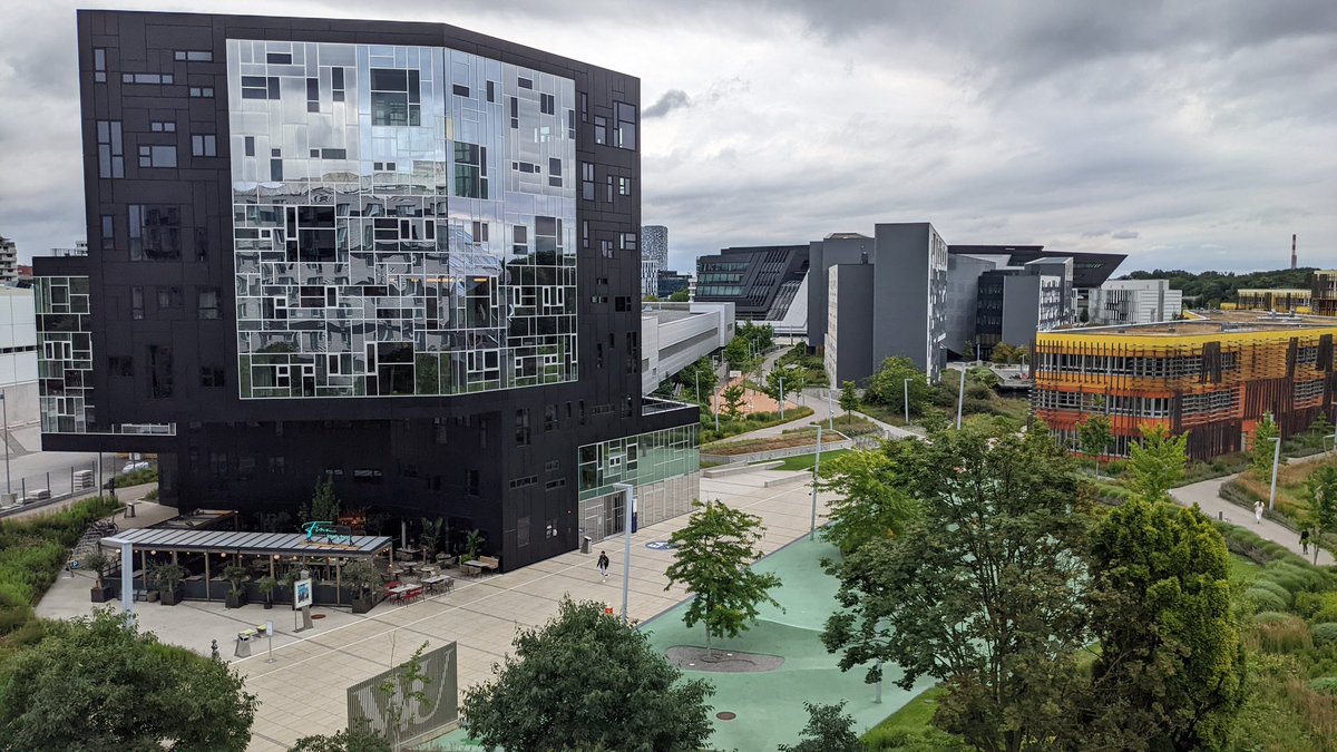 Le Thoai (Lee) tweet media