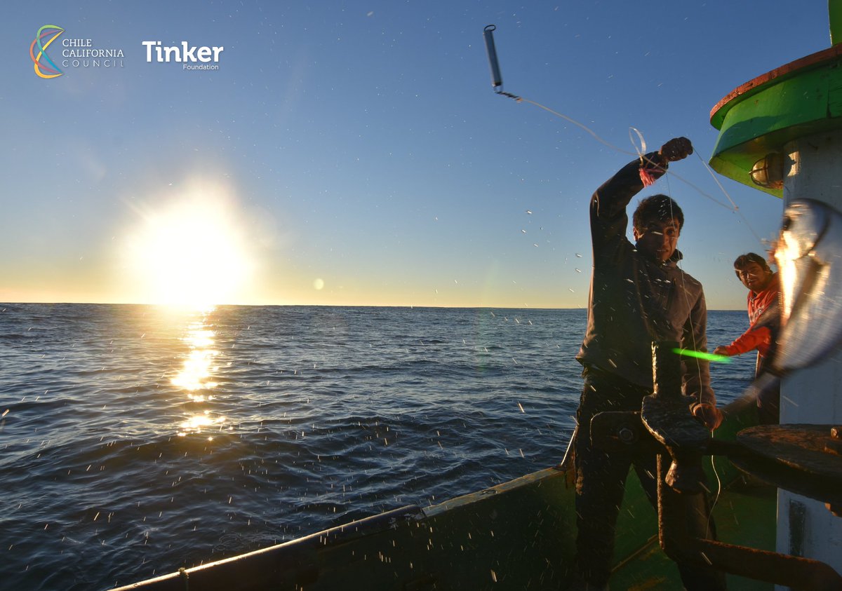 Nos sentimos honrados de contar con el apoyo de <a href="/TinkerFdn/">Tinker Foundation</a> para facilitar el desarrollo de una Estrategia Marina Costera a largo plazo, que busca ayudar a dar forma a las Políticas Marinas Costeras de Chile para un manejo eficiente y justo de los recursos y los ecosistemas. [1/2]