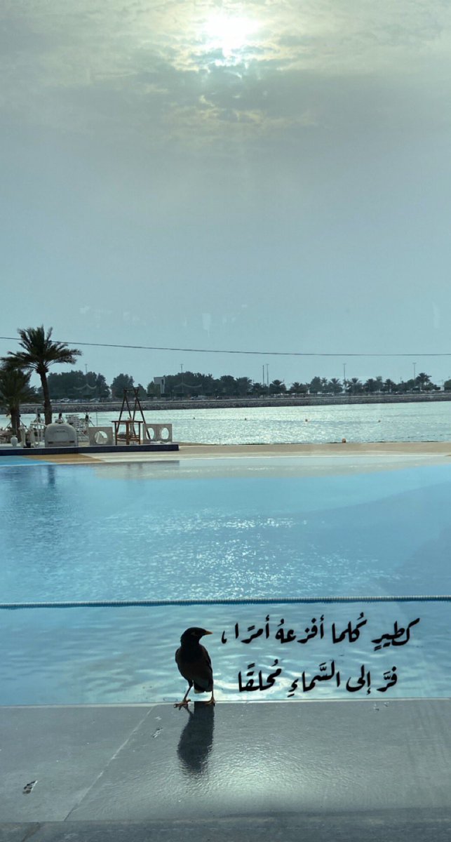 ff47708509's tweet photo. #الوتر https://t.co/hwefXWMixC