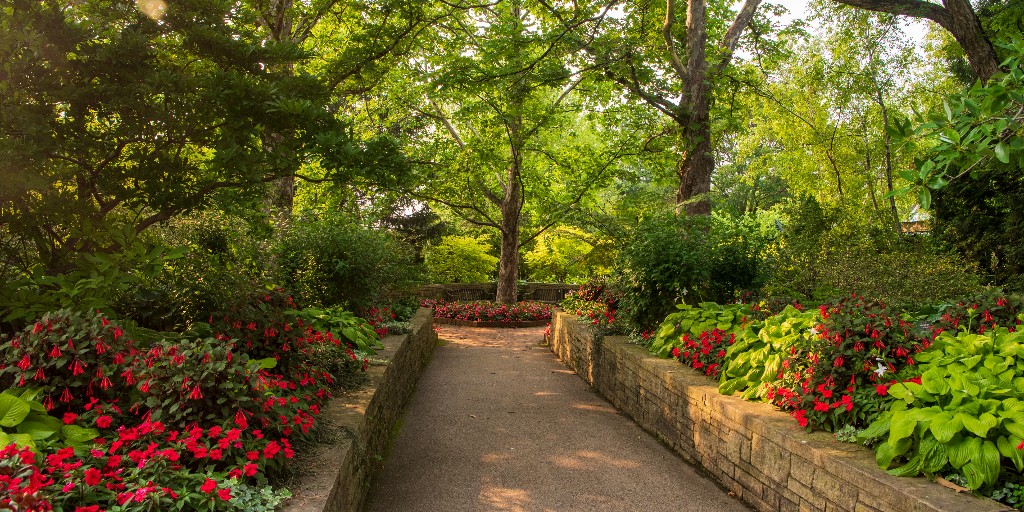 In times of crisis, nature can be healing, a respite. To support our community, admission and parking to the Garden will be free for all from 3 to 8 p.m., starting Wednesday, July 6, through Sunday, July 10.
