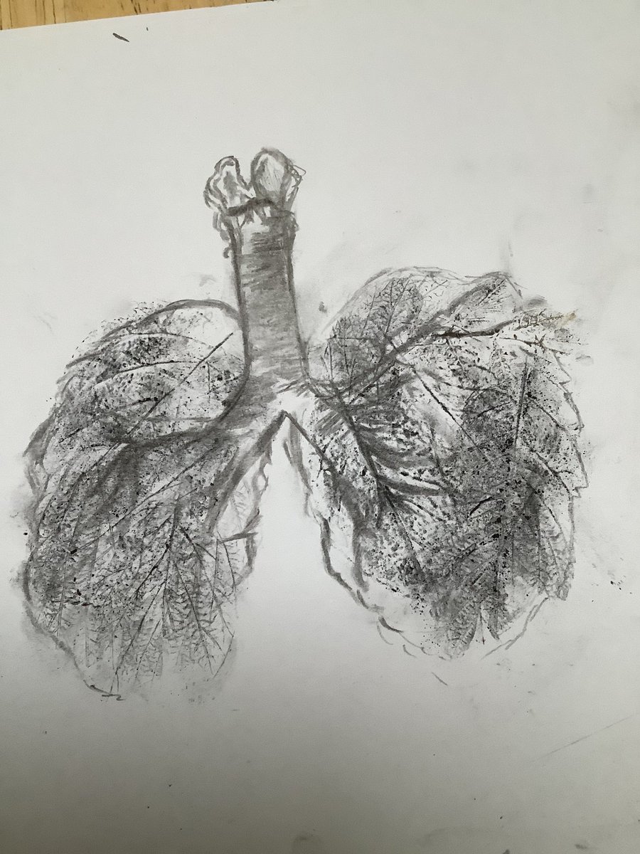 @EveFalling_ @SitaBrahmachari @CounterArts @yalc_uk @littletiger @uksla @edbookfest Another entry for the #WhenShadowsFall exhibition. I wanted to express human life & nature. I printed the veins of leaves with charcoal to make lungs. 

Inspired by the whole book, but summed up by p11 - “Saving a place isn’t just about the land - it’s about saving us too…” ❤️