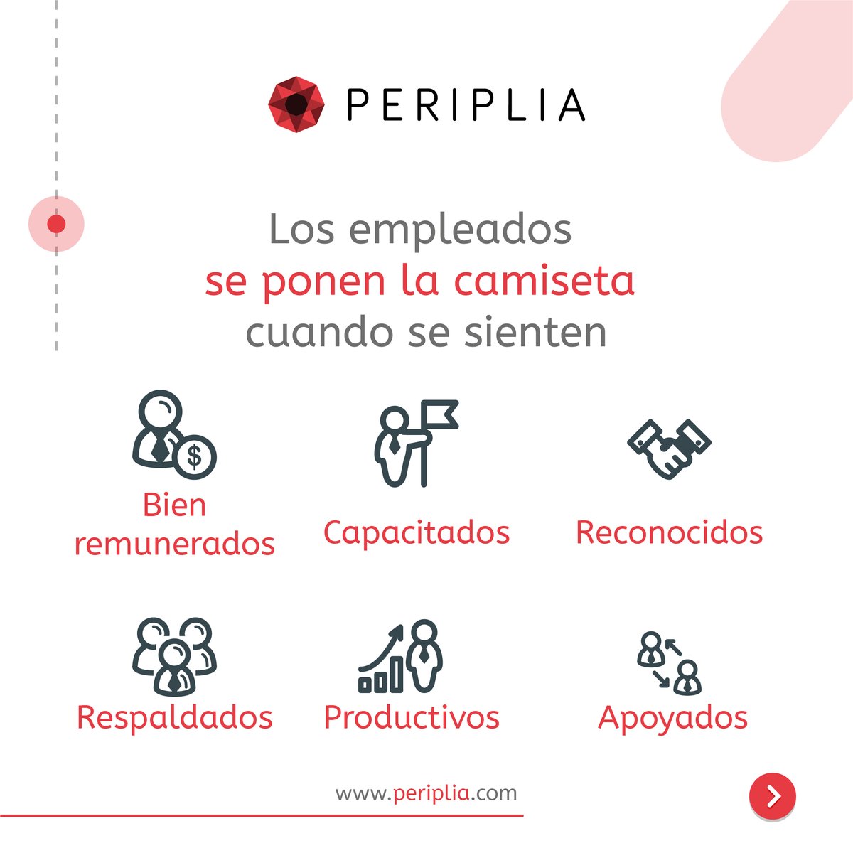 Periplia tweet media