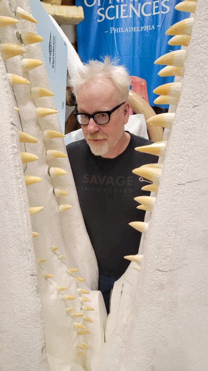 donttrythis's tweet photo. Recently I was at my friend Gary Staab's shop and saw this #Mosasaurus, a sea monster more closely related to Komodo Dragons than to dinosaurs! It's AMAZING, and next year you can visit it at @EdelmanFossilPK of 
@RowanUniversity. CC: @kenlacovara https://t.co/9q0hIFTN5P