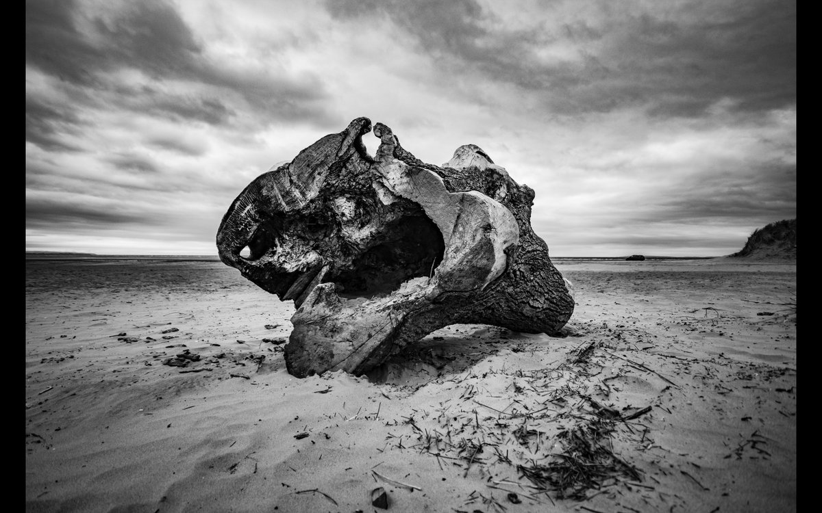 IRPictures's tweet photo. black rock sands #Wales #photography #blackandwhite #landscape #blackrocksands https://t.co/6qHxixbhe4