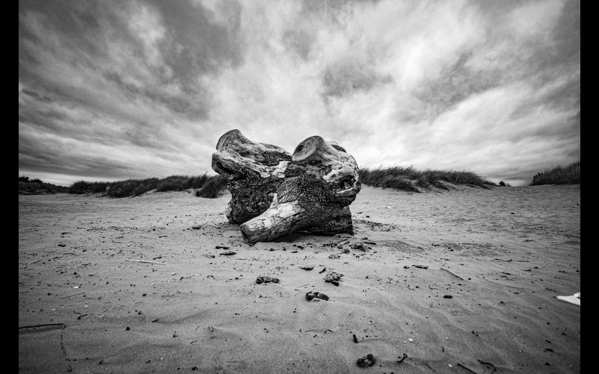 IRPictures's tweet photo. black rock sands #Wales #photography #blackandwhite #landscape #blackrocksands https://t.co/6qHxixbhe4