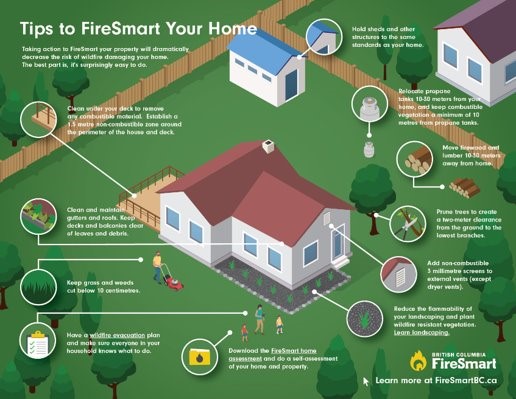 BC Council of Forest Industries tweet media