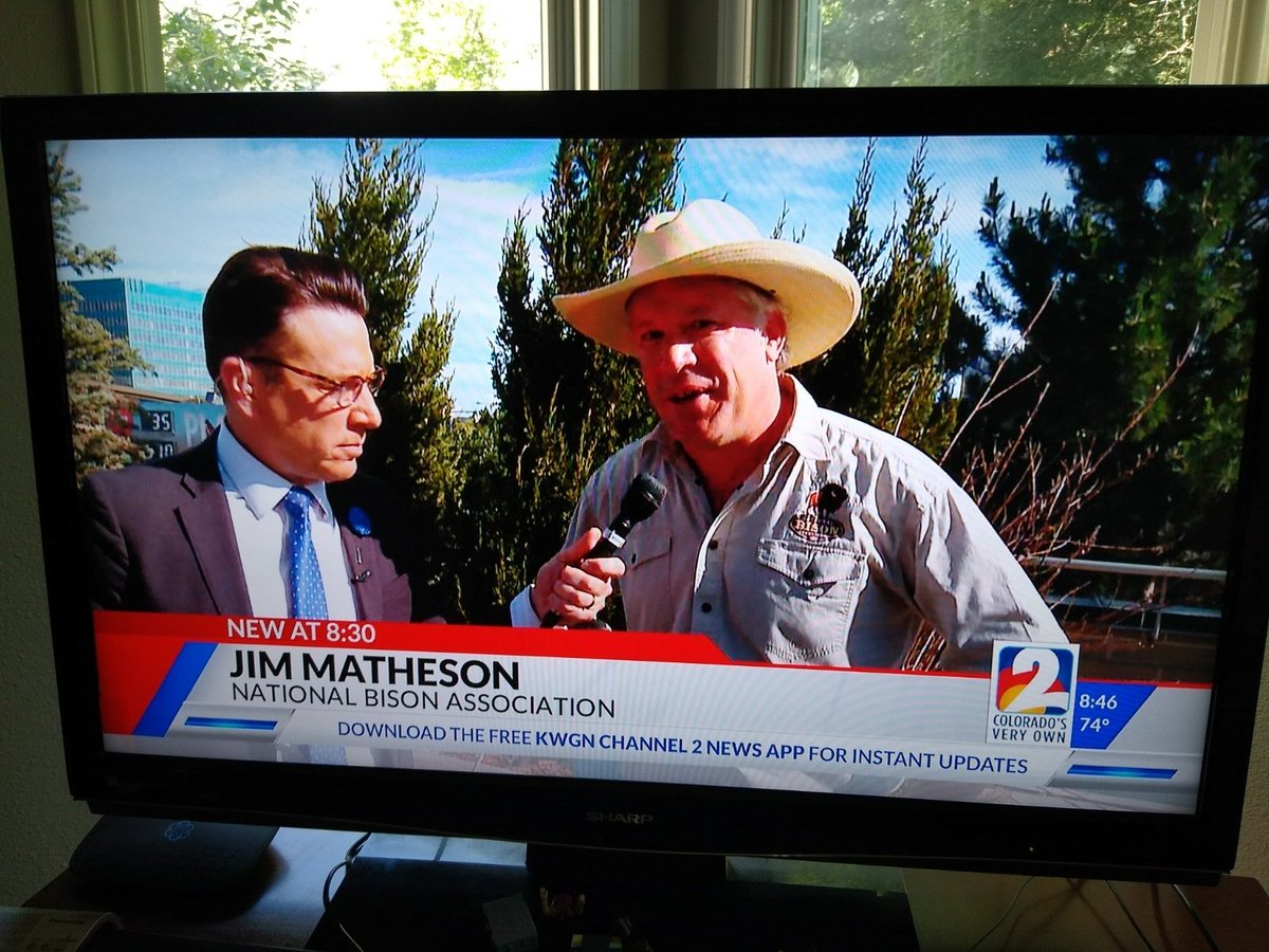 nationalbison's tweet photo. Happy Hump Day! The NBA had a chance to cook up some delicious buffalo burgers for July Bison Month yesterday on live TV on our local Fox News affiliate. Thanks to KDVR for the opportunity! https://t.co/W2wEI0oQxw https://t.co/sycD7gWdef