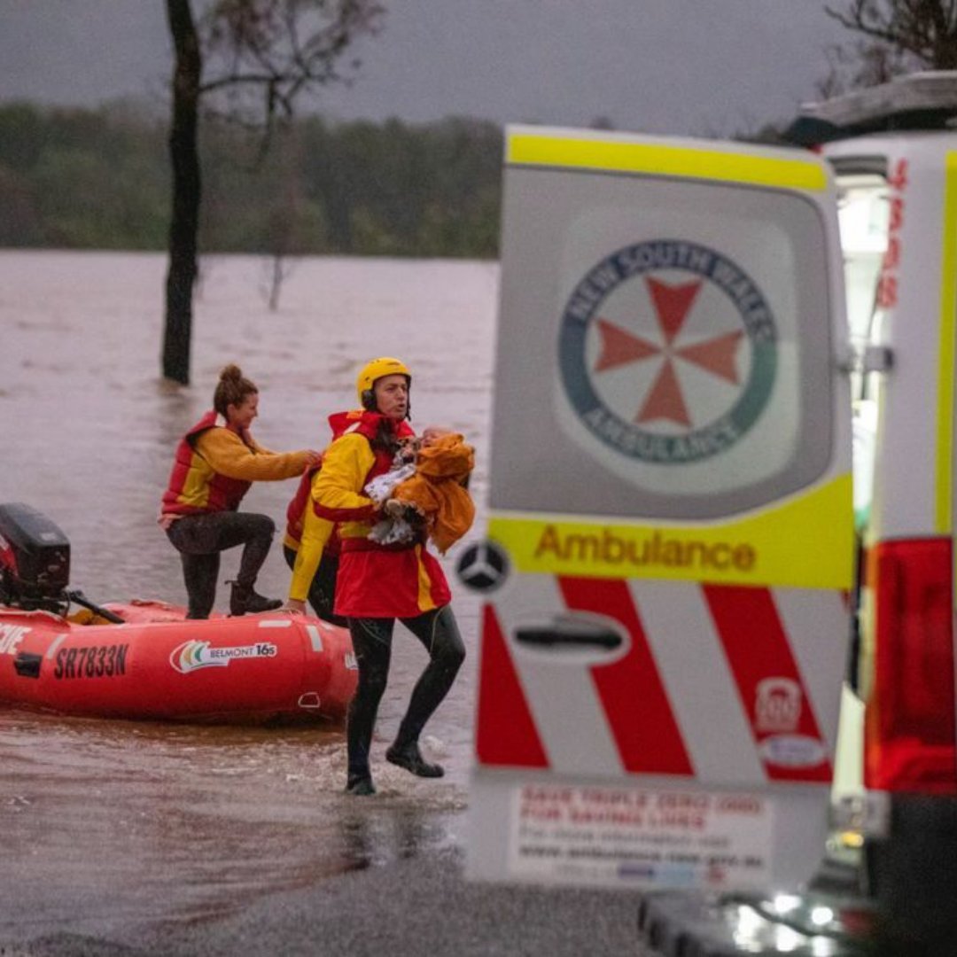 Surf Life Saving NSW tweet media