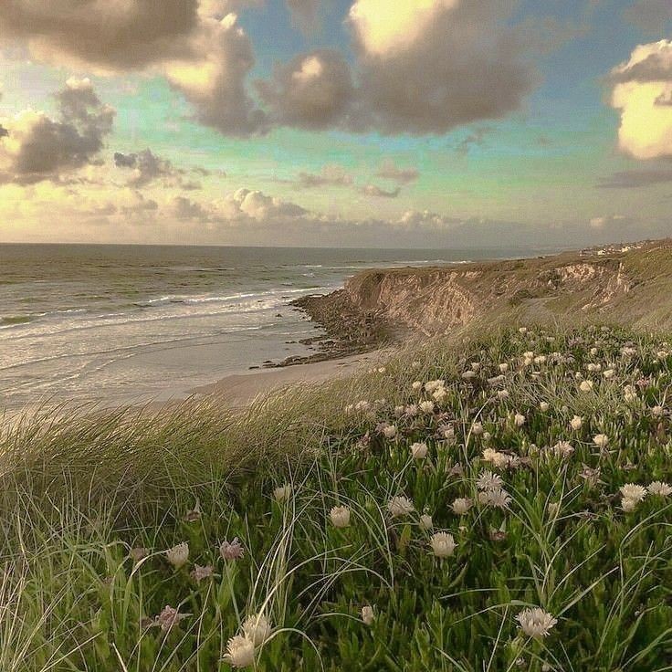 softdeIicacy's tweet photo. your daily dose of escapism. https://t.co/i0yl3HaiDN