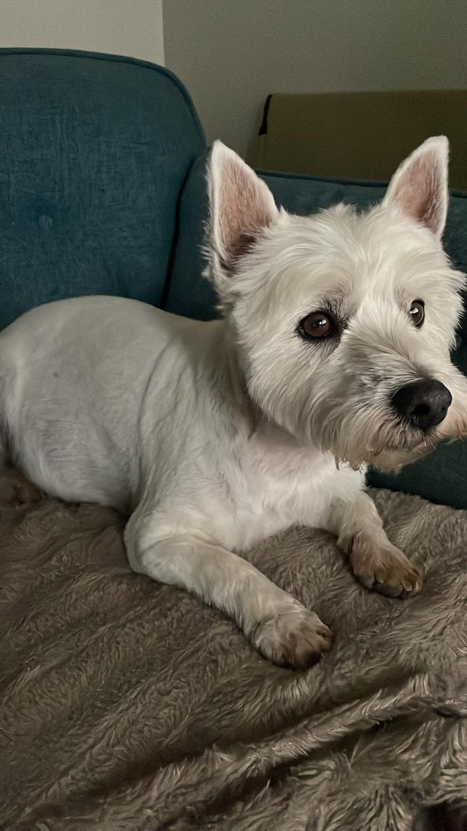 baddershell2010's tweet image. Summer haircut looking dapper!