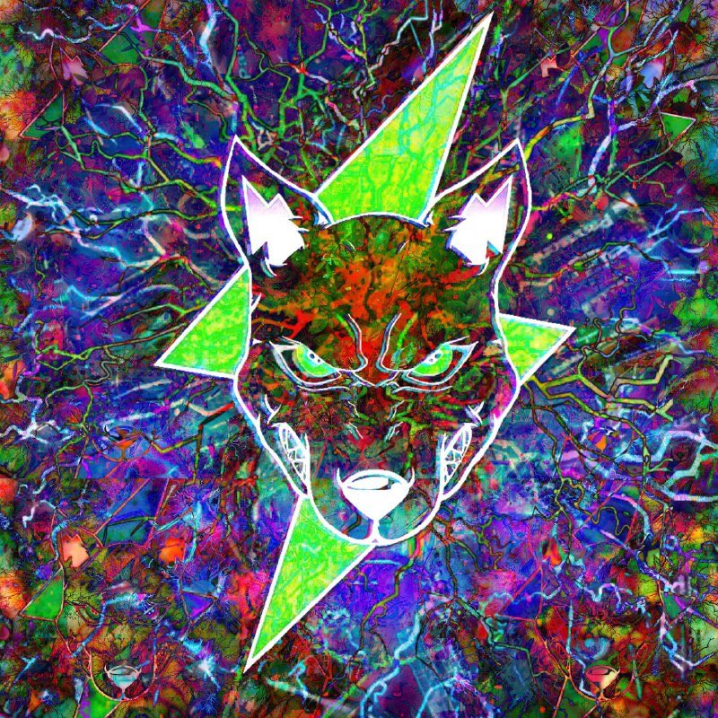 Kong Trading 🦍 tweet media