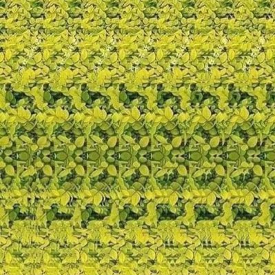 #صورة_جديدة_للملف_الشخصي