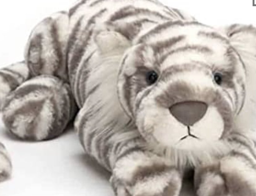 dr_annarachel's tweet photo. @on_lothianbuses This little snow leopard was chosen to come all the way from Ukraine with its 9 year old owner who is very sad to have left it on your number 30 bus travelling southbound at 12.45 today. It was in a green rucksack. Please help us find it. 🇺🇦 https://t.co/lOsRgCNDJC