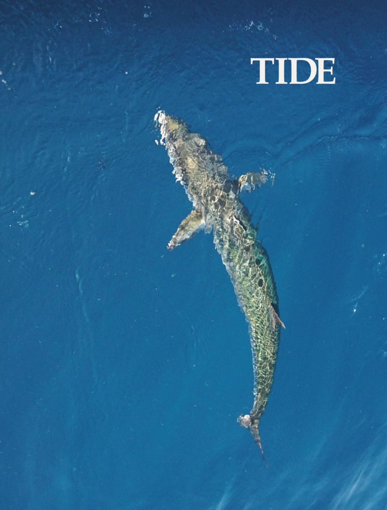 Have you checked out our latest issue of TIDE? In this issue...

- Doctor Snapper: Angling Lessons from the Lead Scientist of One of the Most Extensive Stock Abundance Estimates in the History of Gulf of Mexico Fisheries Management by Pat Murray