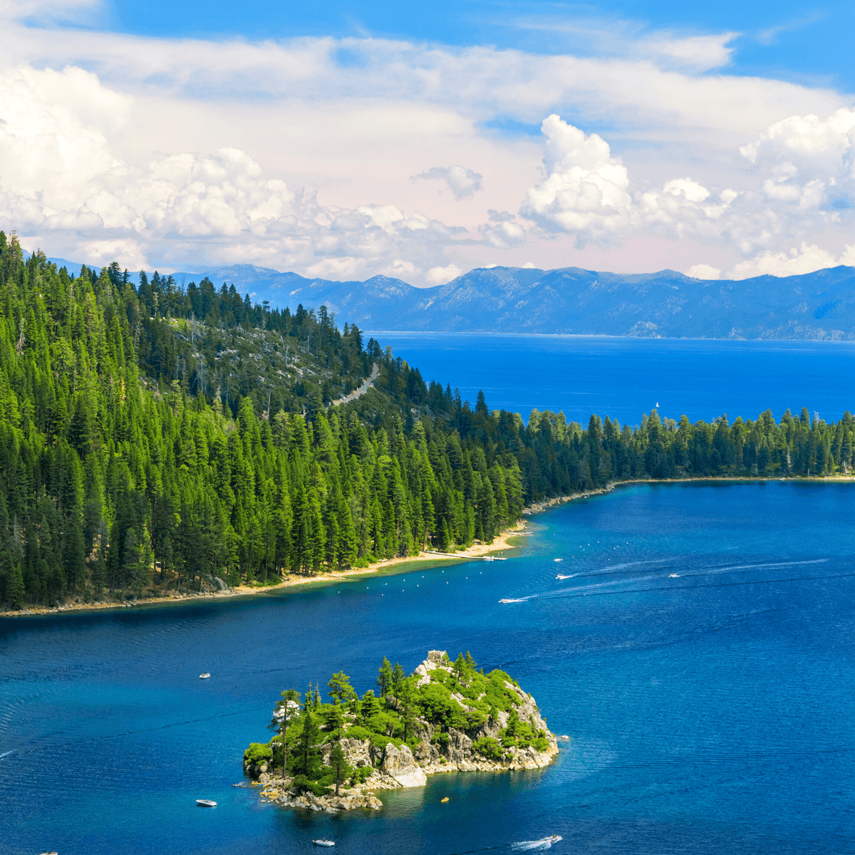 ahaairlines's tweet photo. Another #Idaho giveaway!

🎟️ Enter for the chance to win FOUR (4) ROUNDTRIP TICKETS on aha! Airlines between @iflyboise (BOI) and @RenoAirport  (RNO).

Sign up here: https://t.co/OA62dEOWwr

Enter by 11:59 PM PDT July 17, 2022.

#flightdeals #boise #reno #renotahoe #adacounty https://t.co/OXHRJW3LIW