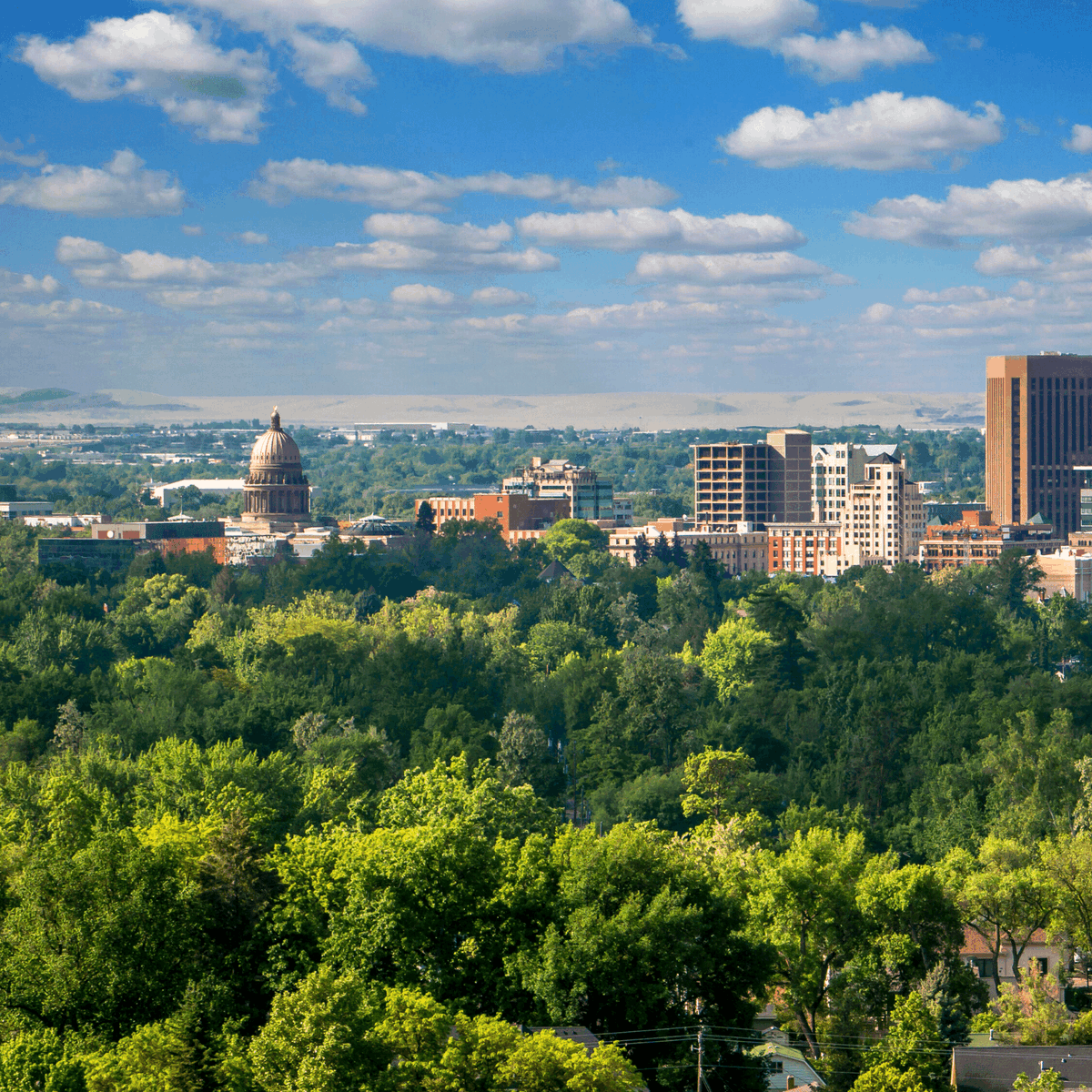 ahaairlines's tweet photo. Another #Idaho giveaway!

🎟️ Enter for the chance to win FOUR (4) ROUNDTRIP TICKETS on aha! Airlines between @iflyboise (BOI) and @RenoAirport  (RNO).

Sign up here: https://t.co/OA62dEOWwr

Enter by 11:59 PM PDT July 17, 2022.

#flightdeals #boise #reno #renotahoe #adacounty https://t.co/OXHRJW3LIW