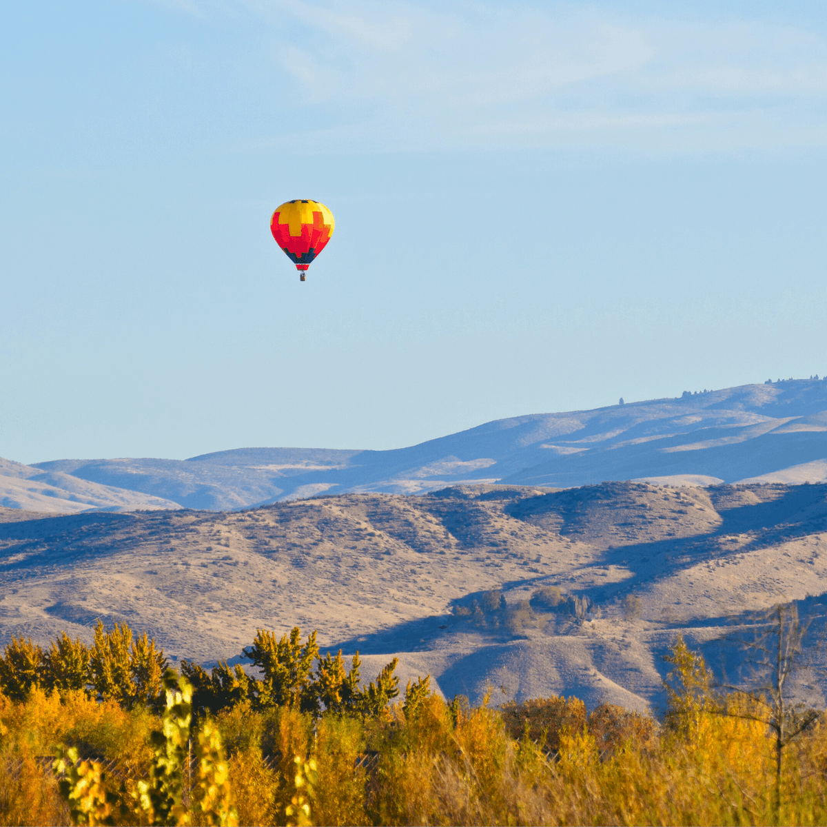 aha! (@ahaairlines) on Twitter photo Another #Idaho giveaway!
🎟️ Enter for the chance to win FOUR (4) ROUNDTRIP TICKETS on aha! Airlines between <a href="/iflyboise/">Boise Airport</a> (BOI) and <a href="/RenoAirport/">Reno-Tahoe Int’l Airport</a> (RNO).
Sign up here: bit.ly/3P6VVqF
Enter by 11:59 PM PDT July 17, 2022.
#flightdeals #boise #reno #renotahoe #adacounty Another #Idaho giveaway!
🎟️ Enter for the chance to win FOUR (4) ROUNDTRIP TICKETS on aha! Airlines between <a href="/iflyboise/">Boise Airport</a> (BOI) and <a href="/RenoAirport/">Reno-Tahoe Int’l Airport</a> (RNO).
Sign up here: bit.ly/3P6VVqF
Enter by 11:59 PM PDT July 17, 2022.
#flightdeals #boise #reno #renotahoe #adacounty