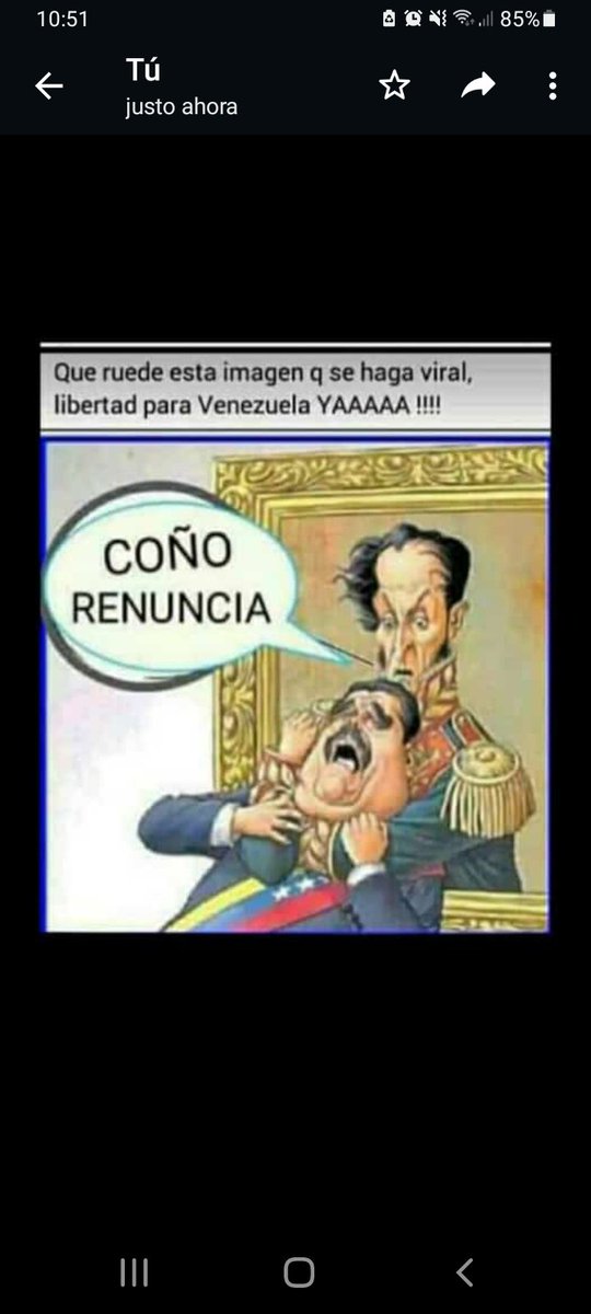 indio chaima 3 tweet media