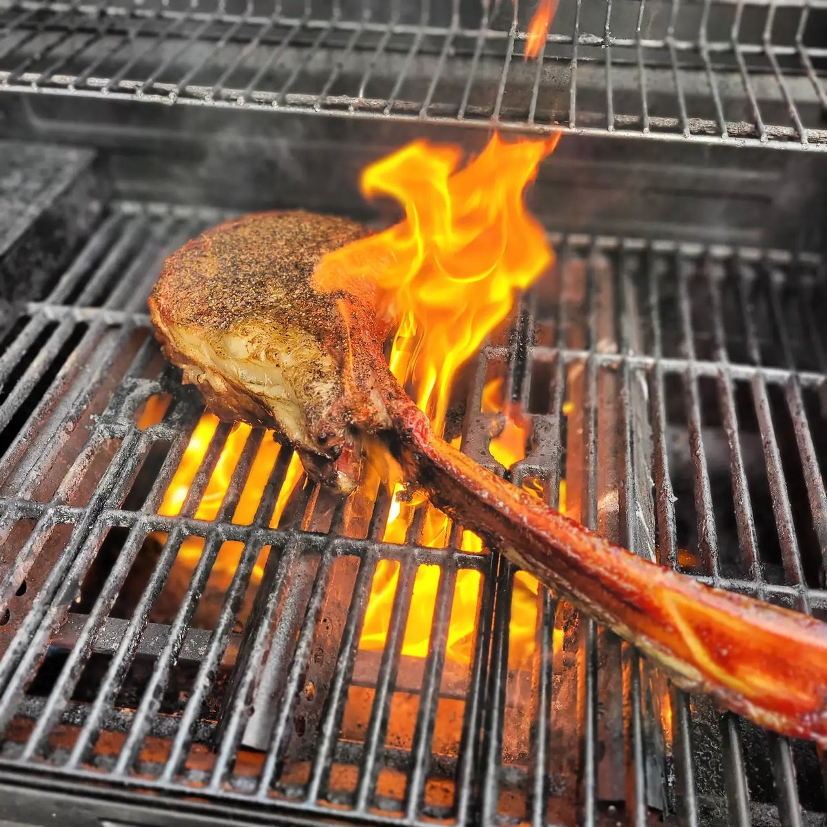 CowboyCharcoal's tweet photo. MEAT me in paradise 🔥🏝️
📷rfootsmokes
#CookinWithCowboy #cowboycharcoal #bbq #grill #thecowboyway #cookingwithfire #firecooking #charcoal #grilled #grilling #bbq #instafood #foodie #foodinspiration #tomahawk #tomahawksteak https://t.co/xqAv6TyBXq