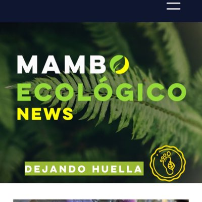 MamboEcologico's tweet photo. #NuevaFotoDePerfil https://t.co/8dxeQkuo84
