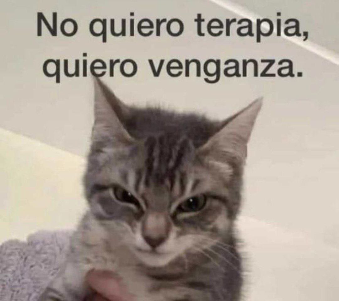 Rafaela!¡ desativou (@4l34t0e14) on Twitter photo 