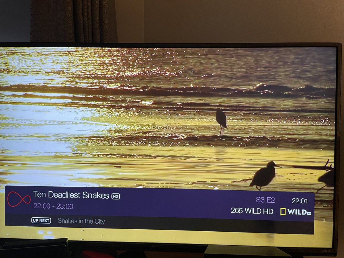 thepenGW's tweet photo. Watching this to see if Michael Gove is number 1… #BoJoGo #Gove https://t.co/JMuXIN91AA