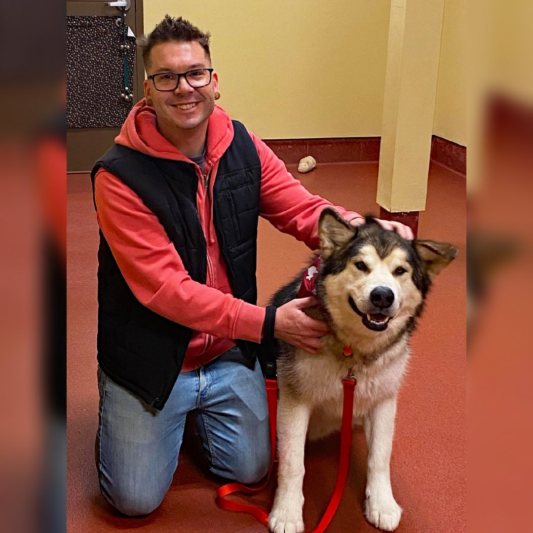 HARTforAnimals's tweet image. Grizz Goes Home!
We’re so glad to have found a home for Grizz. Congrats to Grizz for finding his perfect person and to Grizz’s perfect person for finding his perfect Grizz! 
#rescuedog  #adoptdontshop #deepcreeklake  #maryland  #deepcreekmd  #deepcreeklakemd  #garrettcountymd