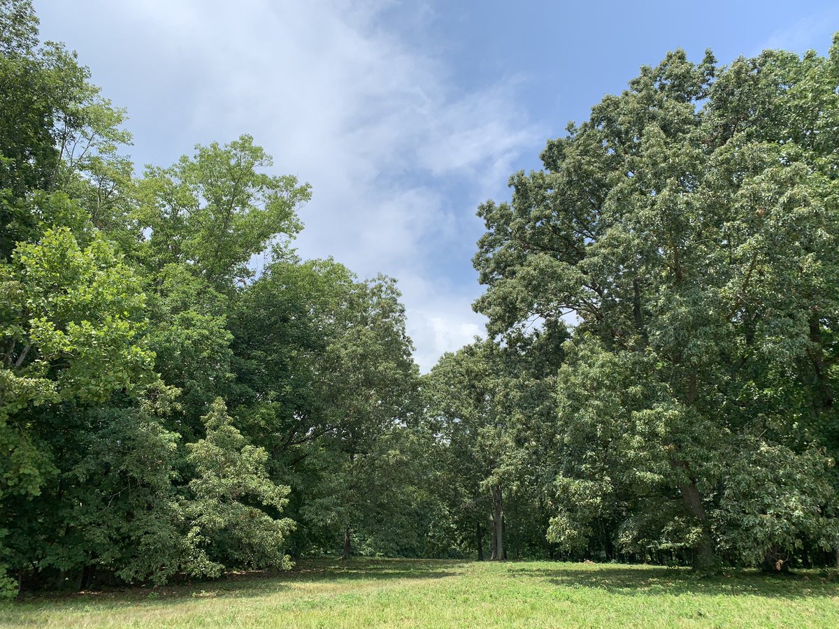 KYTW911's tweet photo. @Kentuckyweather @JimWKYT @thevictorpuente Spent most of the day playing will it / won’t it, a rain here. Twice today earlier rain storms skirted our farm. This last one heading our way I’m fairly sure will bring us the rain. #KYwx #BathCounty #PeasticksKY https://t.co/rK5kh0hTVD