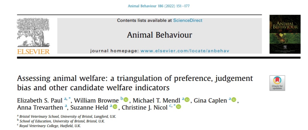 AnimBehSociety's tweet photo. Research lead by Elizabeth S. Paul showed that hen's living condition preferences aligned with #foragingbehavior and lower #stress. However, methodologies for measuring #welfare are complex and require further development.
Chek the project on our journal:
https://t.co/aAl8lAAZis https://t.co/Kr51URCmDC