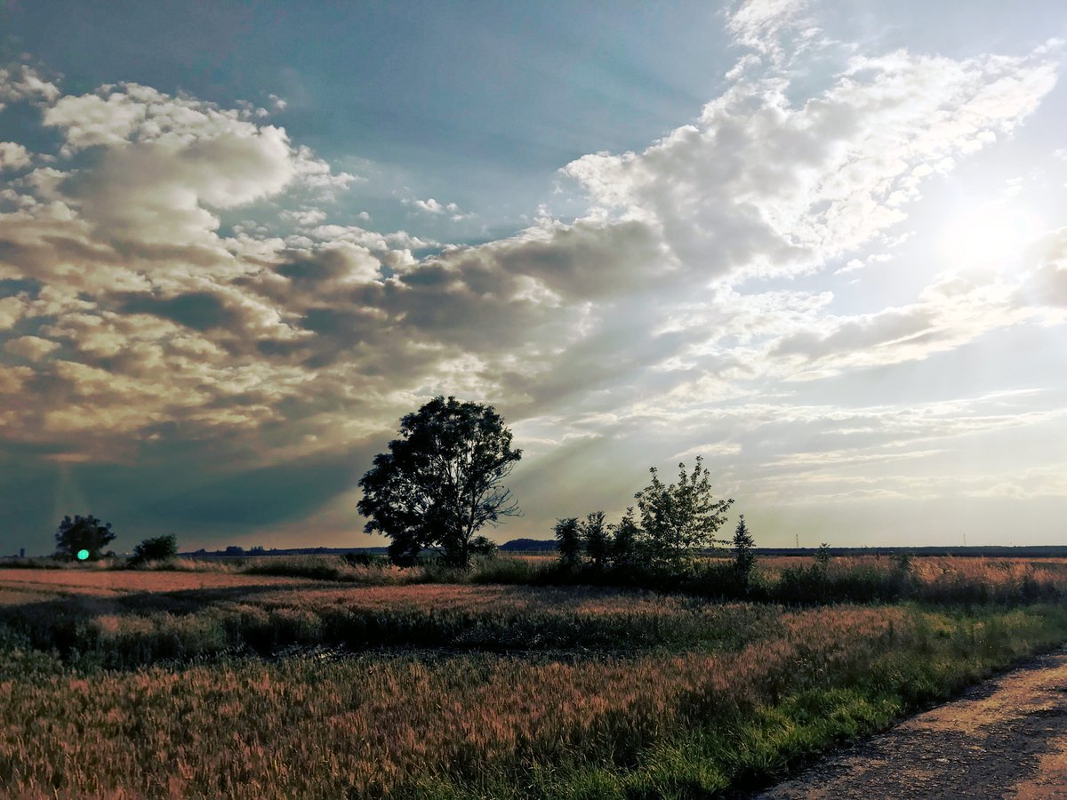SebastianBatko's tweet photo. 📷🚴 Wieczorne niebo w #Gliwice #Ostropa #rower https://t.co/GspsvEv23c