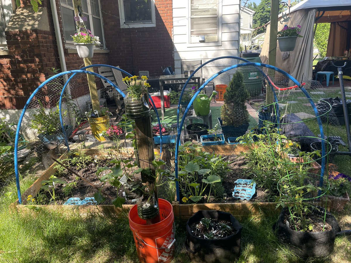 Of course our first tweet would be about our first vegetable garden. We will be giving an update soon. #cocktailsandtabletalk #veggiegarden
