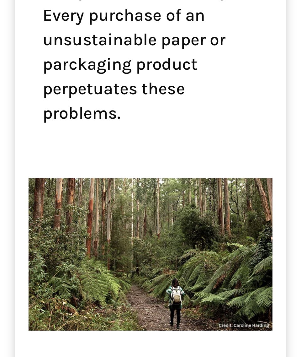 wild_anemone_'s tweet image. #StopLogging #StopNativeForestLogging