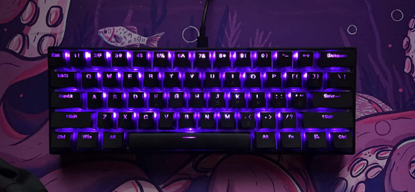 Womier_keyboard's tweet photo. It’s super easy to mod and swap switches. RGB is decent, the pudding keycaps look and feel great. Highly impressive considering the cost of the board. -womeir customer🥳

WomierPhantomKeyboard 💙:
👉https://t.co/9ANQHB9PJM

#WomierPhantomKeyboard #womier #womierwk61 https://t.co/RSn5ftewdw