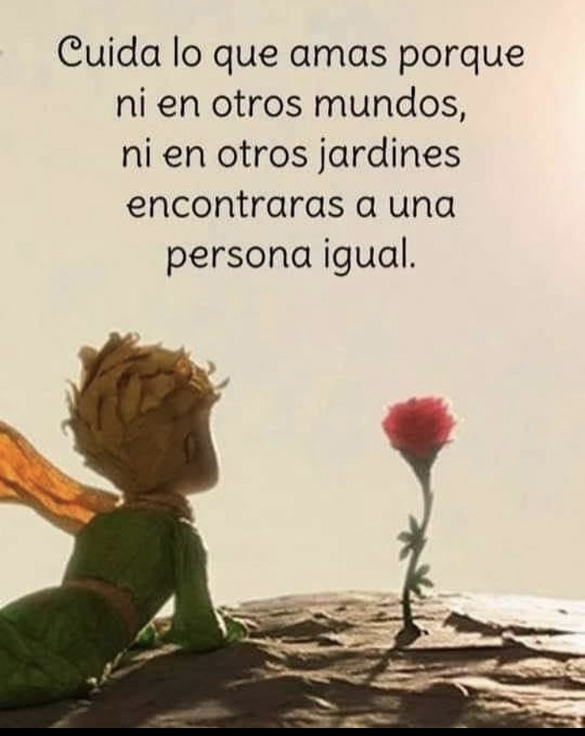 PauloCoelhoDice's tweet photo. https://t.co/rTfrhm8989