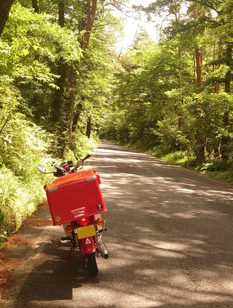 the_gurenhati's tweet image. この写真気に入ってる
#郵政カブ #MD50 #スーパーカブ