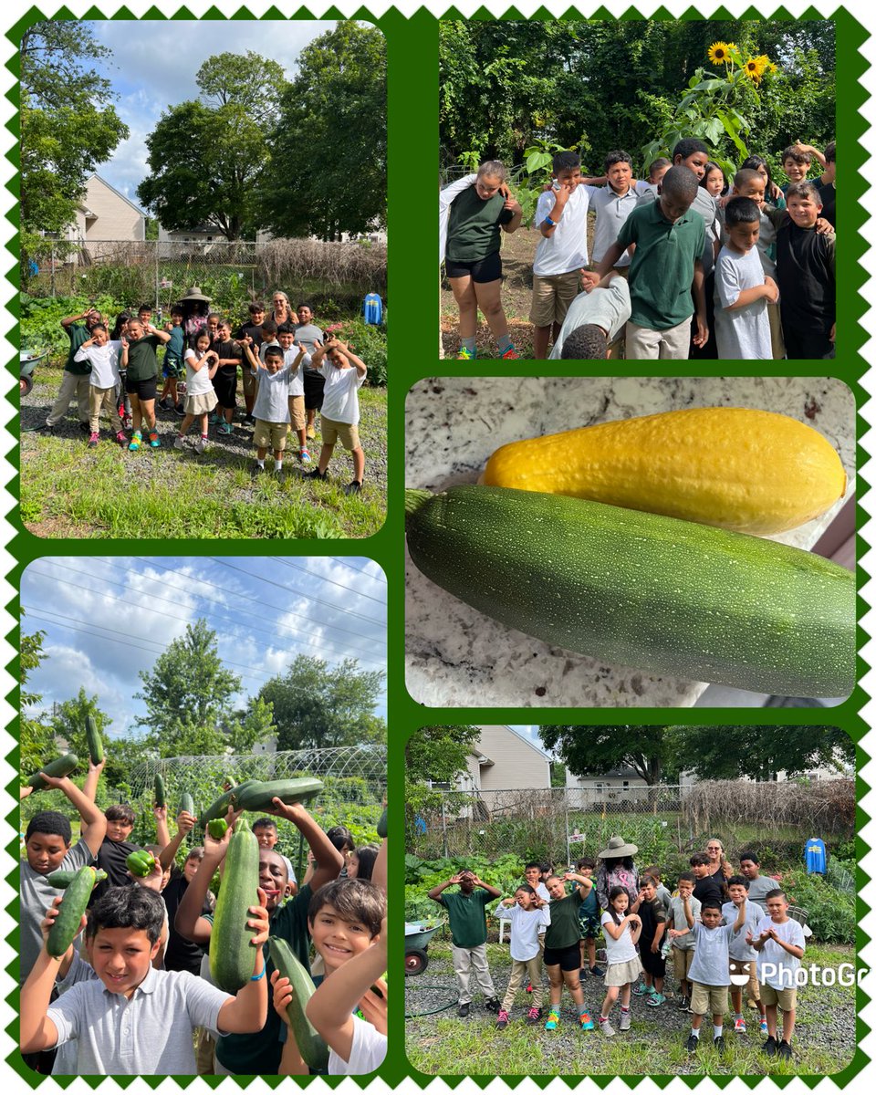 Are we having fun,You asked? Oh yes we are! #LBPS #LBcommunitygarden #AAASummer2022