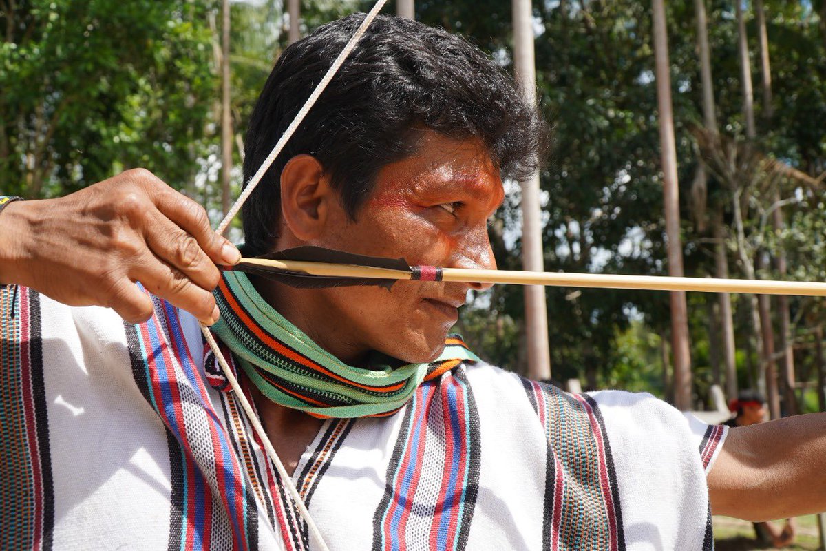 Ashaninka Apiwtxa (@apiwtxa) on Twitter photo Dominar o arco e flecha é dominar a sobrevivência. 
#Ashaninka 
📸 Yara Piyãko Dominar o arco e flecha é dominar a sobrevivência. 
#Ashaninka 
📸 Yara Piyãko