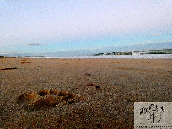 photosandracing's tweet photo. "Another one!"
-DJ Khalid
#photo #photographer #photography #picture #perfectyourcraft #lumix #lumixphotography #lumixphoto #naturephotography #freelancephotography #freelancephotographer #freelance https://t.co/1287WZ3zds