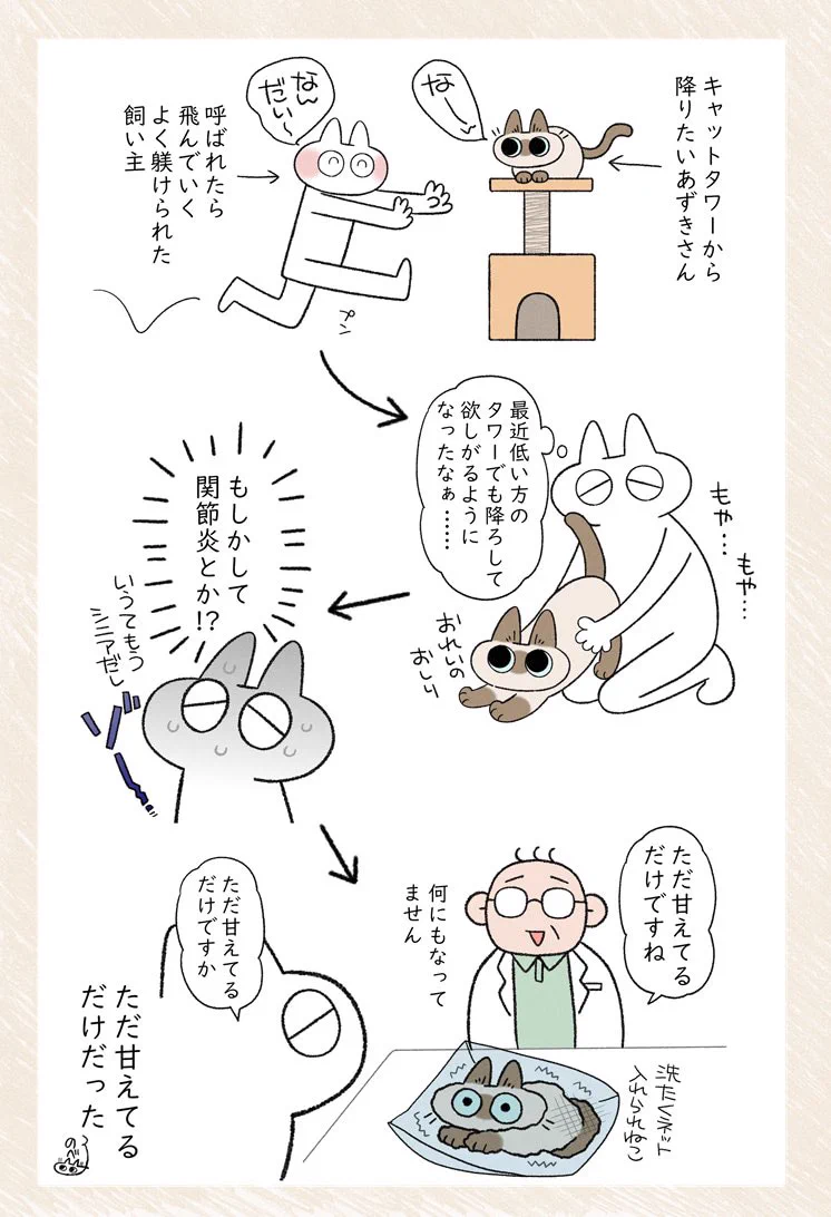 愛猫の様子から関節炎などの病気を疑い病院へ連れて行くと･･･！読んでいてほっこりしちゃうお話！