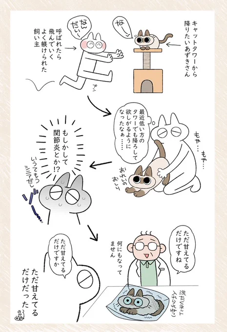 レントゲン代6000円した #シャム猫あずきさんは世界の中心 