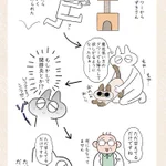 愛猫の様子から関節炎などの病気を疑い病院へ連れて行くと･･･!読んでいてほっこりしちゃうお話!