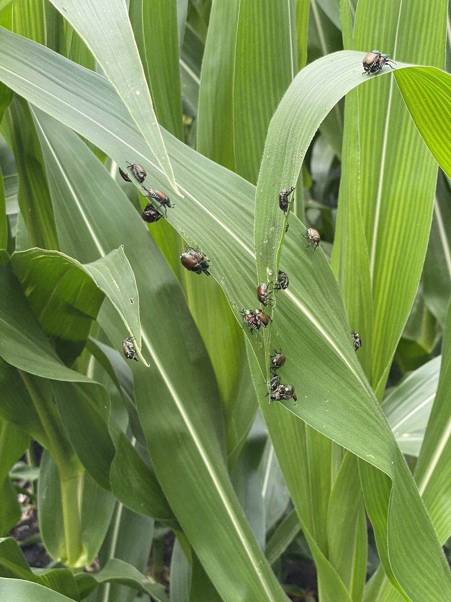 Allen Wiseman tweet media