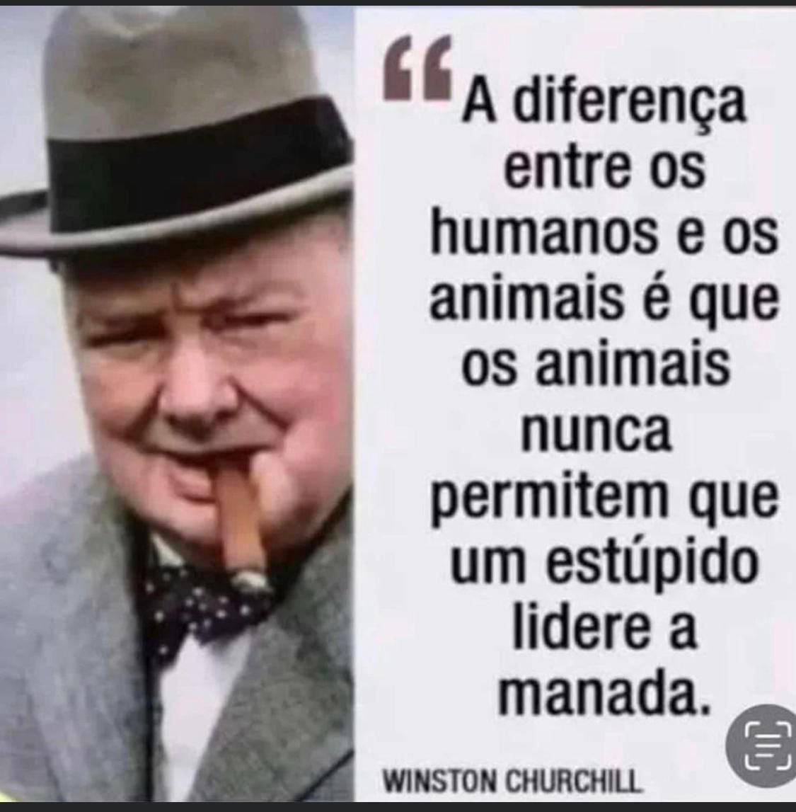 GugaNoblat's tweet image. 