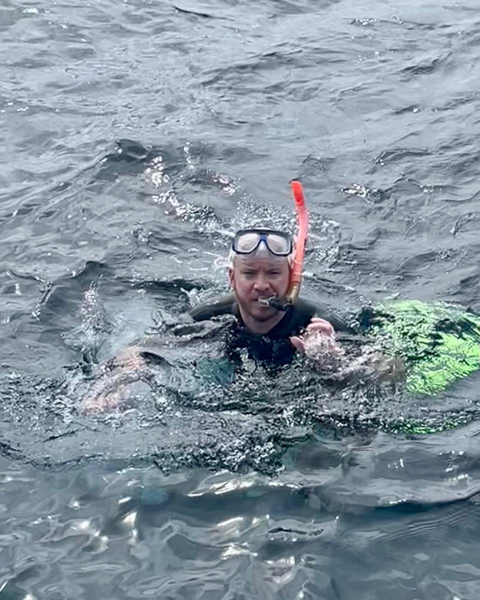kenleyyoung's tweet photo. We made it to #Cairns, and the sun did, too! Which worked out great because first thing on the agenda? Snorkeling at the #GreatBarrierReef. Didn’t spot any sharks, but check out that bald-headed clownfish cheesin’ for the camera. #australia #downunder #reefmagic #reefmagiccairns https://t.co/nkqDRpYxAa