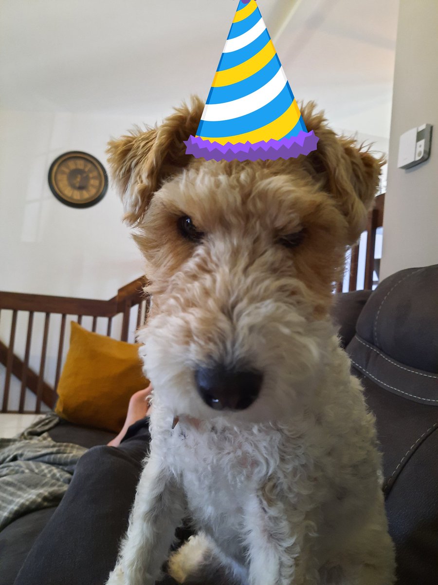 SWirefox's tweet image. Today I am 4 years olds 🥳 ~Sakura~