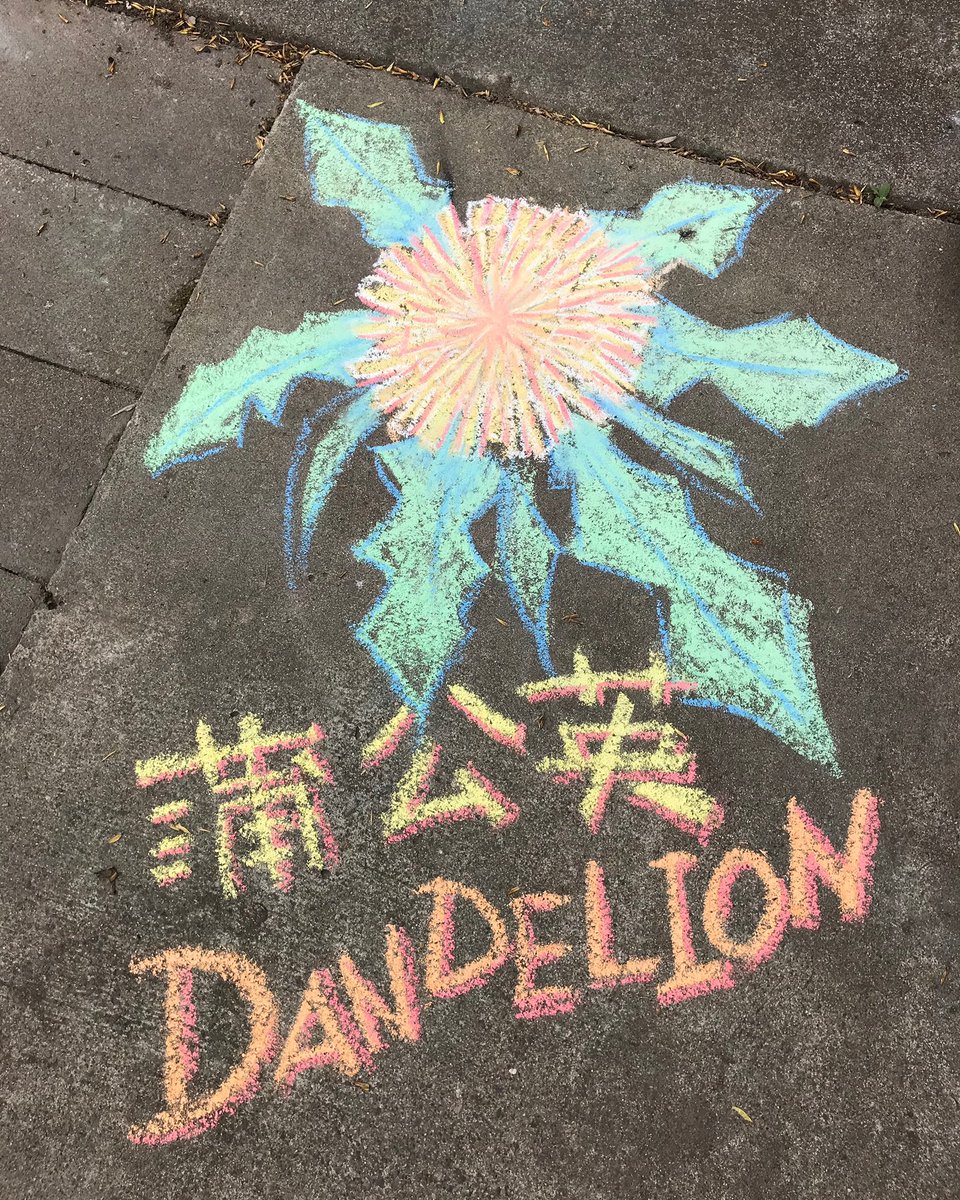 kemysworkshop's tweet photo. Sidewalk Chalk Flora series number1
“Dandelion蒲公英” https://t.co/A8LVsKaGSu