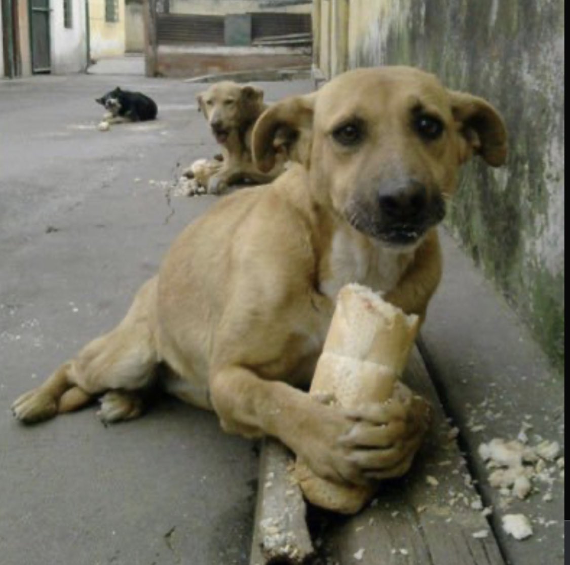 Ogeday niye foti atmıyosun Niyeeee